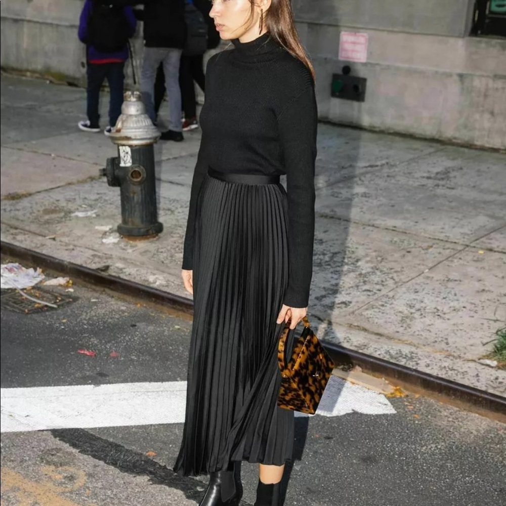 NWT Zara black pleated skirt size xsmall